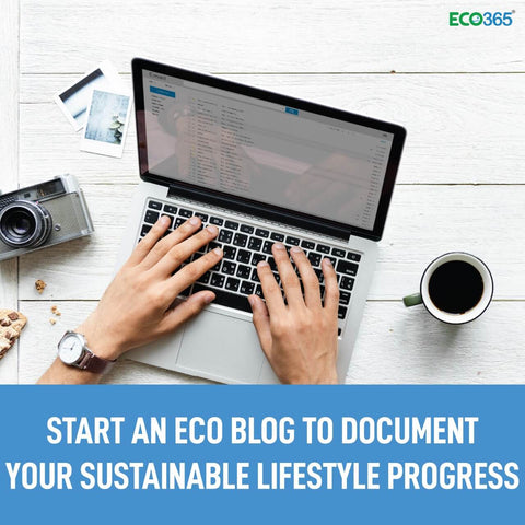 Start an eco blog to document your sustainable lifestyle progress