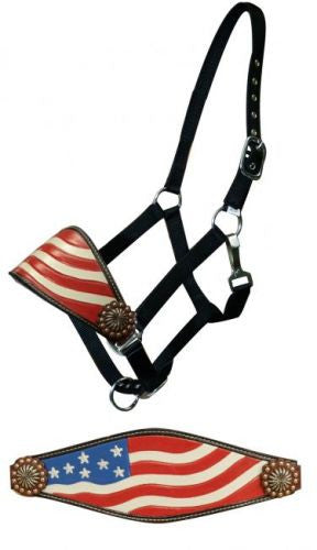 HBH11 - Skirting Leather Painted Tooled Bronc Halter