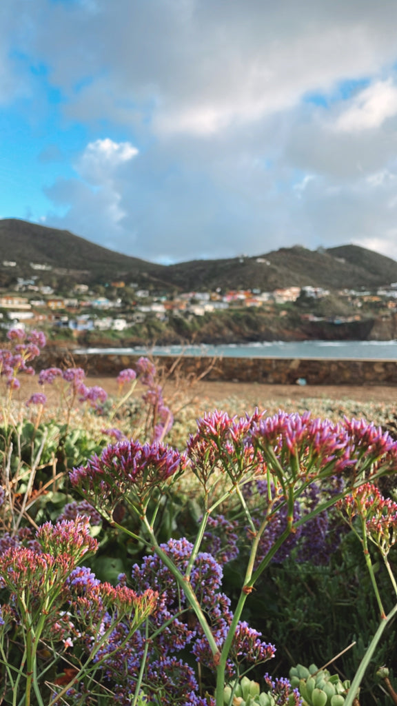 La Bufadora, Baja Mexico