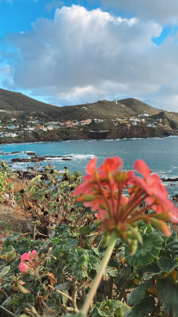 La Bufadora, Baja Mexico