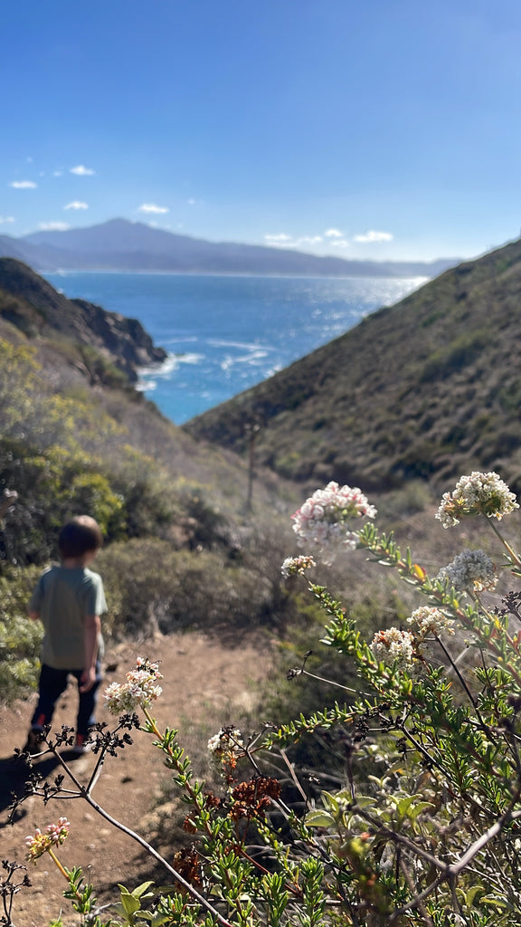 La Bufadora, Baja Mexico