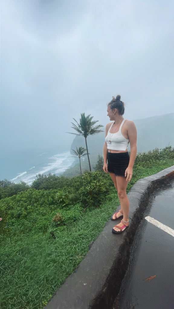 Pololu on the Big Island