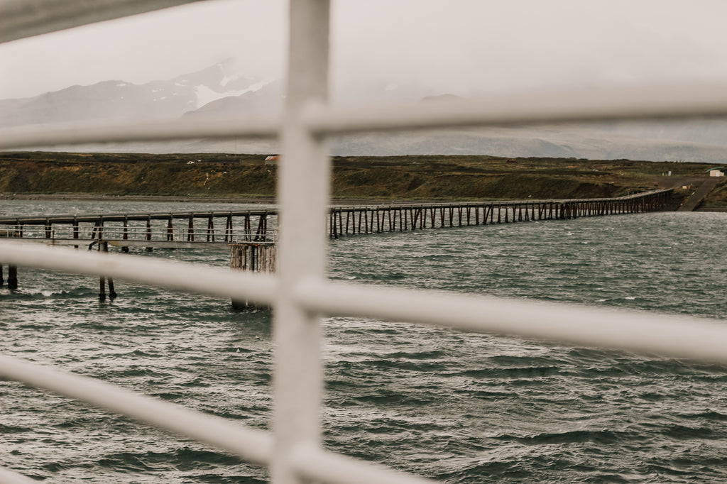 Cold Bay, Alaska by Resolute Boutique