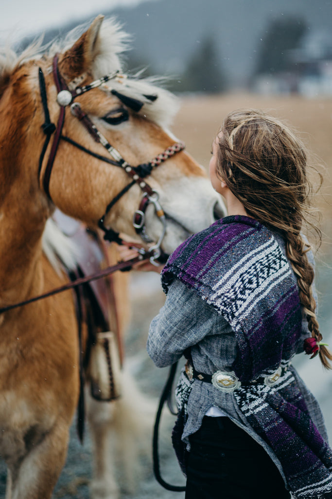 Editorial Look for Riding horses in Juneau, Alaska