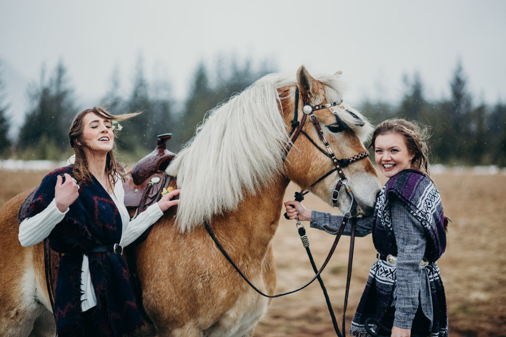 Editorial Look for Riding horses in Juneau, Alaska