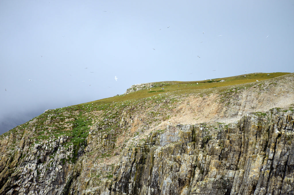 Bear Island. Cruising up the coast of Norway part 4 for Resolute Boutique.