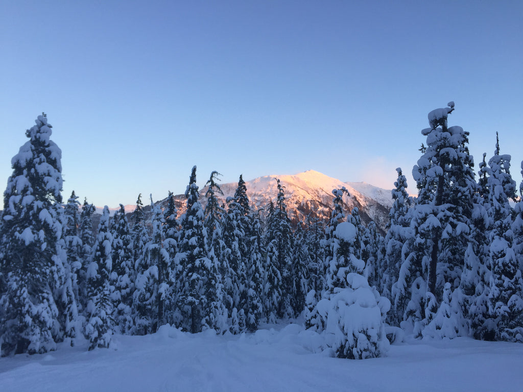 Snowshoe & Ski in the same day in Juneau, Alaska for Resolute Boutique & Lifestyle