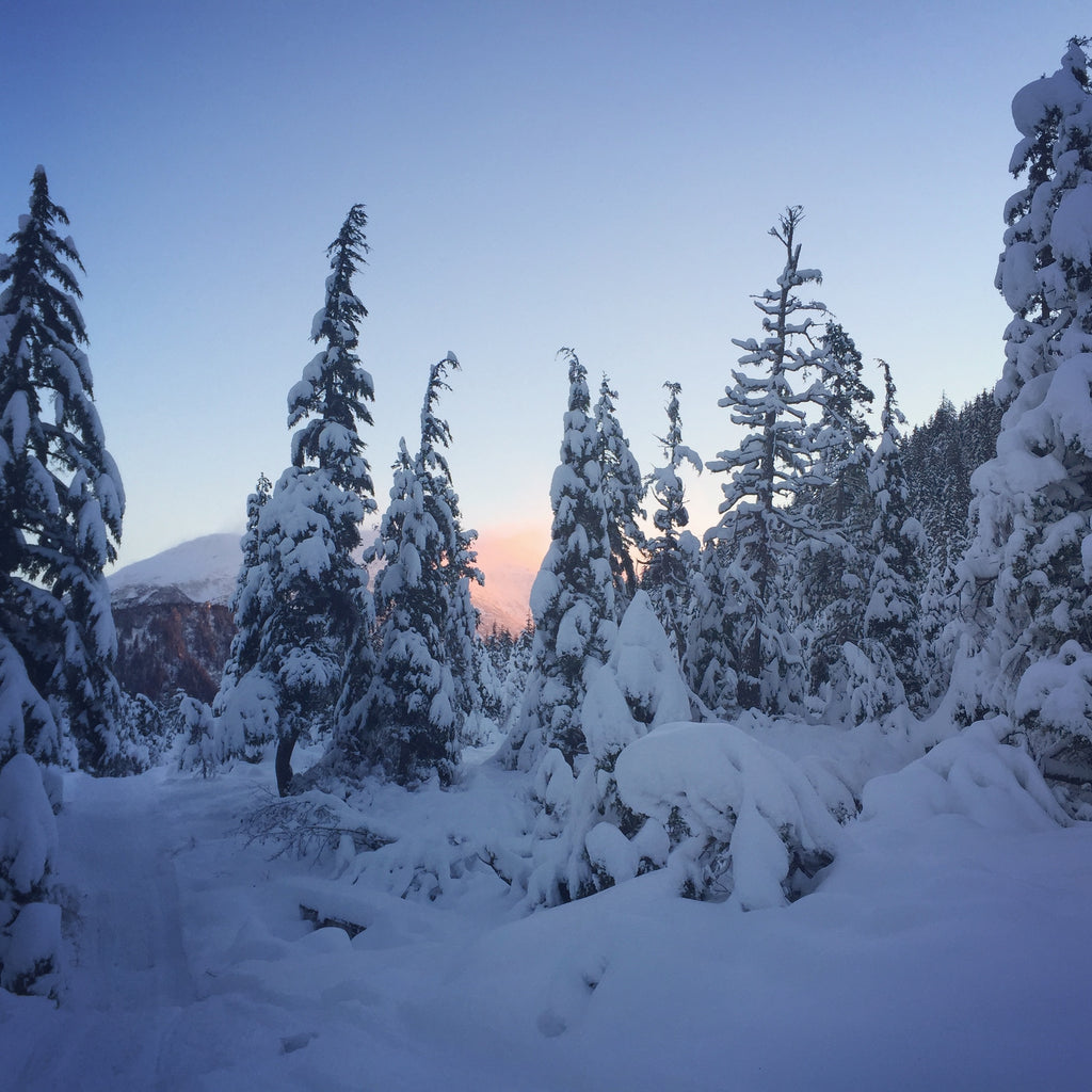 Snowshoe & Ski in the same day in Juneau, Alaska for Resolute Boutique & Lifestyle