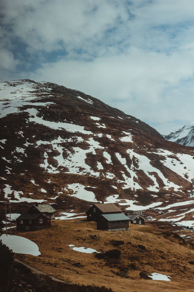 Train from Bergen to Oslo, Norway