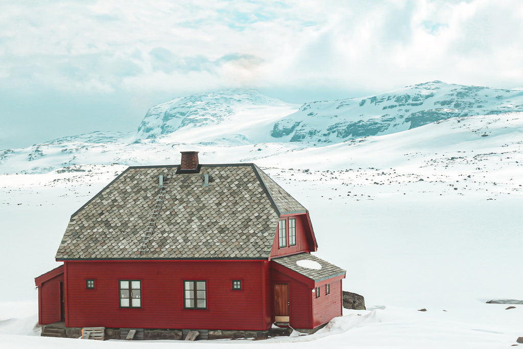 Train from Bergen to Oslo, Norway