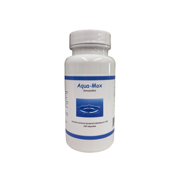 Aqua Mox Amoxicillin 250mg