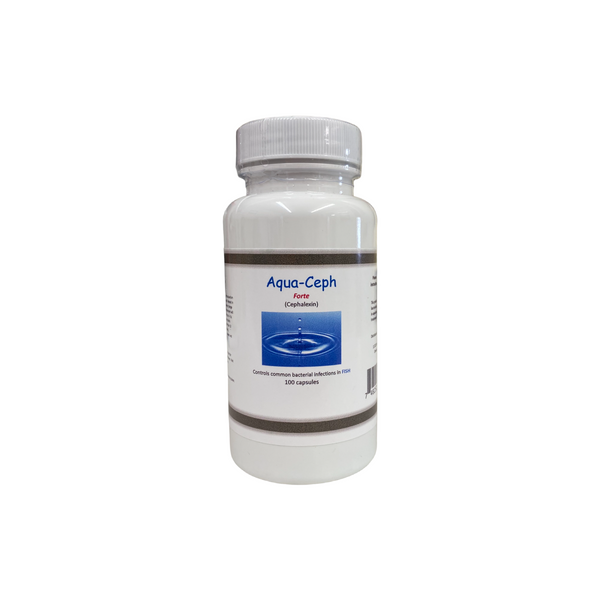 Aqua Ceph Forte Cephalexin 500mg