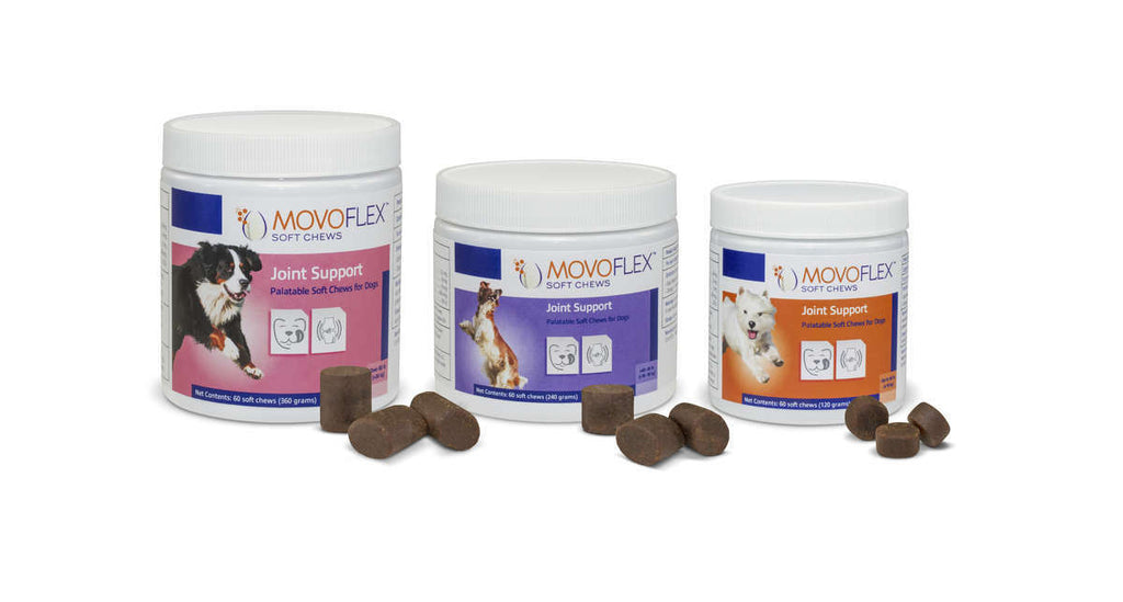 Movoflex For Dogs Free Shipping Countrysidepet Com