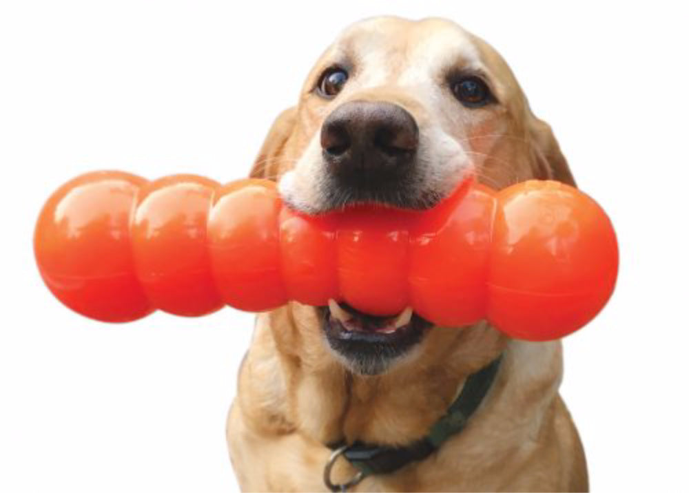 unbreakable dog toys