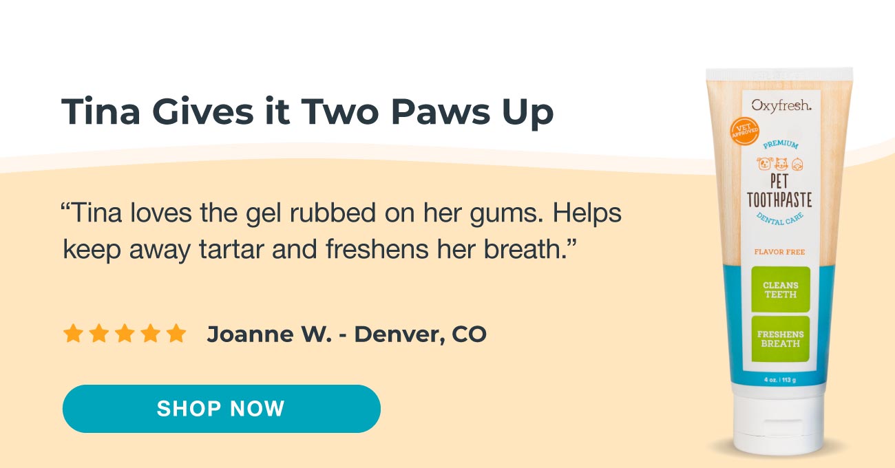 Premium Pet Dental Gel Toothpaste | Best Way To Clean Pet Teeth & Remove Plaque