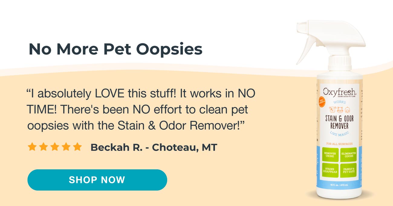 stain and odor remover five star review