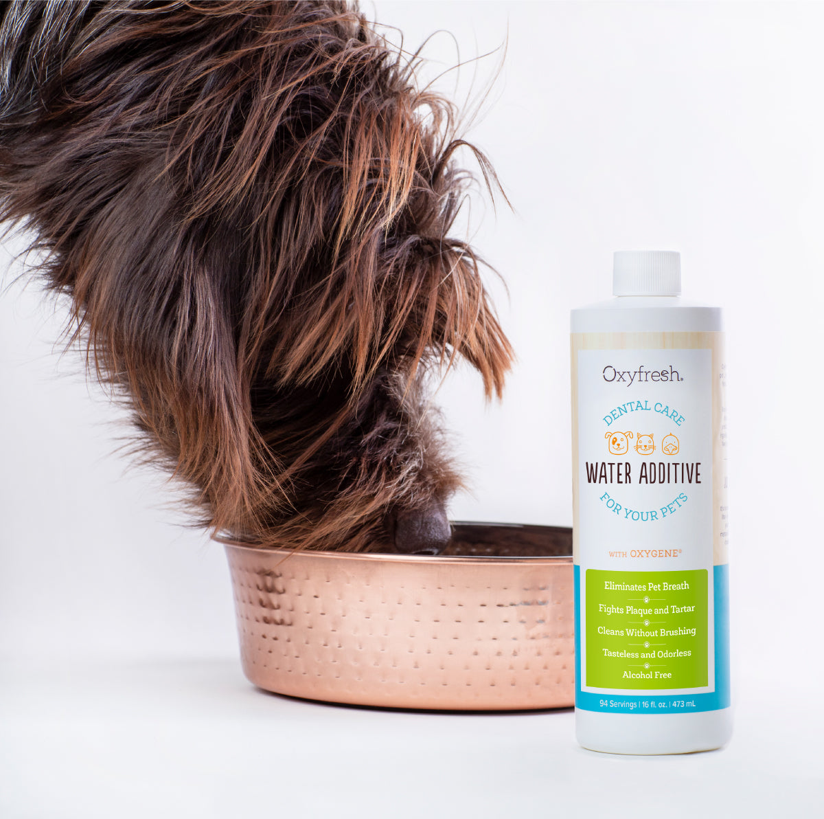 Oxyfresh - Removing Plaque From Dogs Teeth Pet Dental Water Additive