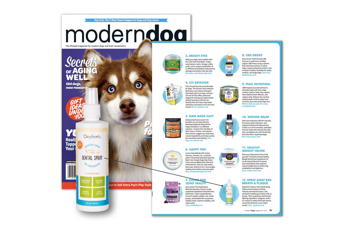 Modern Dog magazine cover overlayed with the article page featuring Oxyfresh Pet Dental Spray.