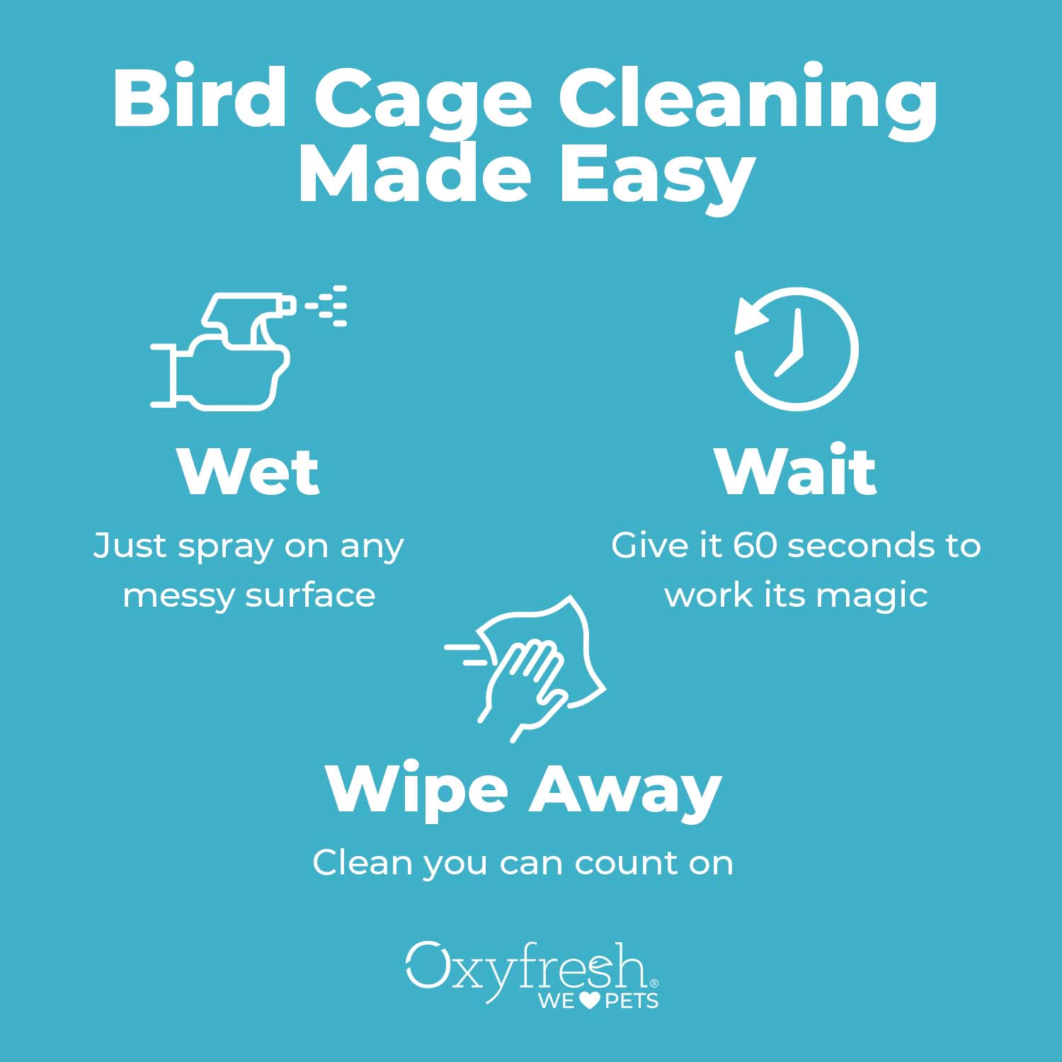 bird cage cleaning made easy infographic