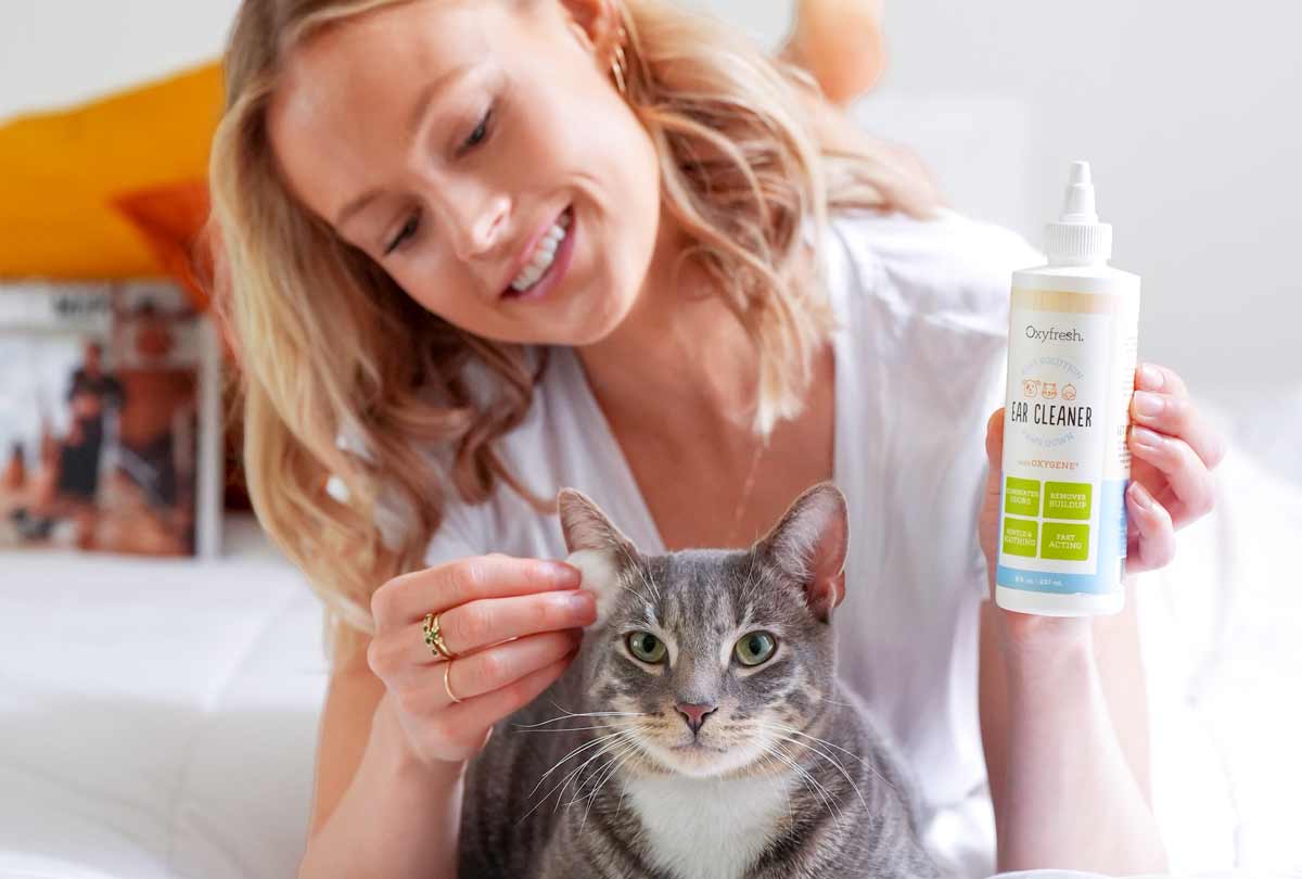 woman smiling applying some oxyfresh ear cleaner to her kitty's ears 