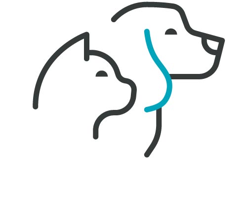 line art icon of a a dog and a cat with blue highlights on the dog's ear