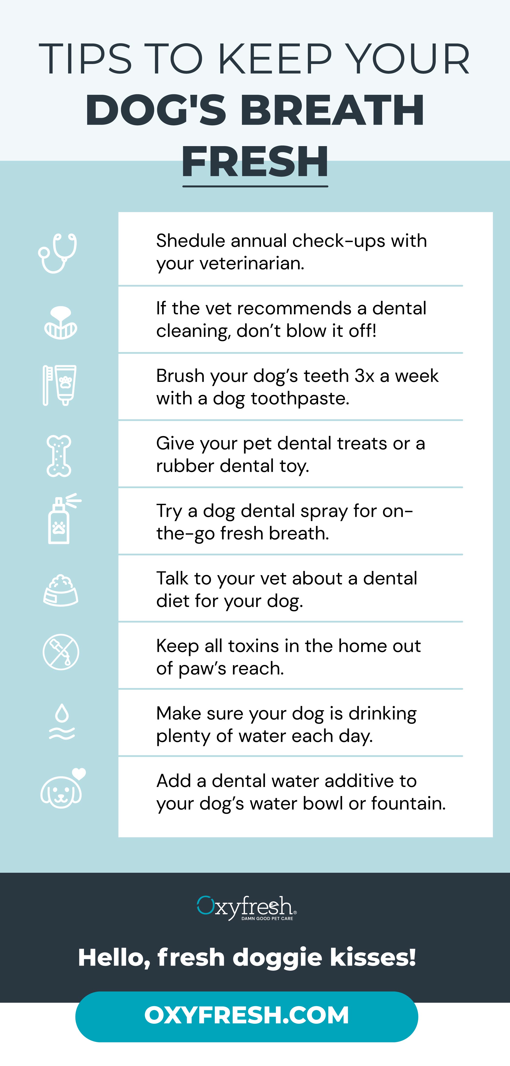 tips to keep your dogs breath fresh include vet checkups cleaning brushing toys and treats spray diets hydration and water additives visit the oxyfresh website