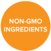 Vegan non GMO all natural protein shake powder soy free