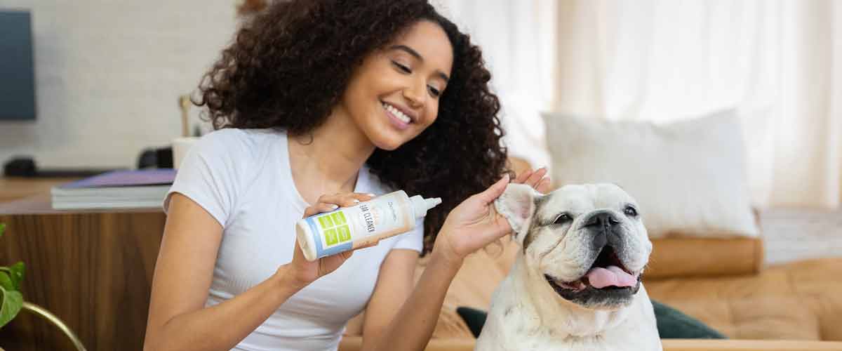 woman treating irritated dog ears