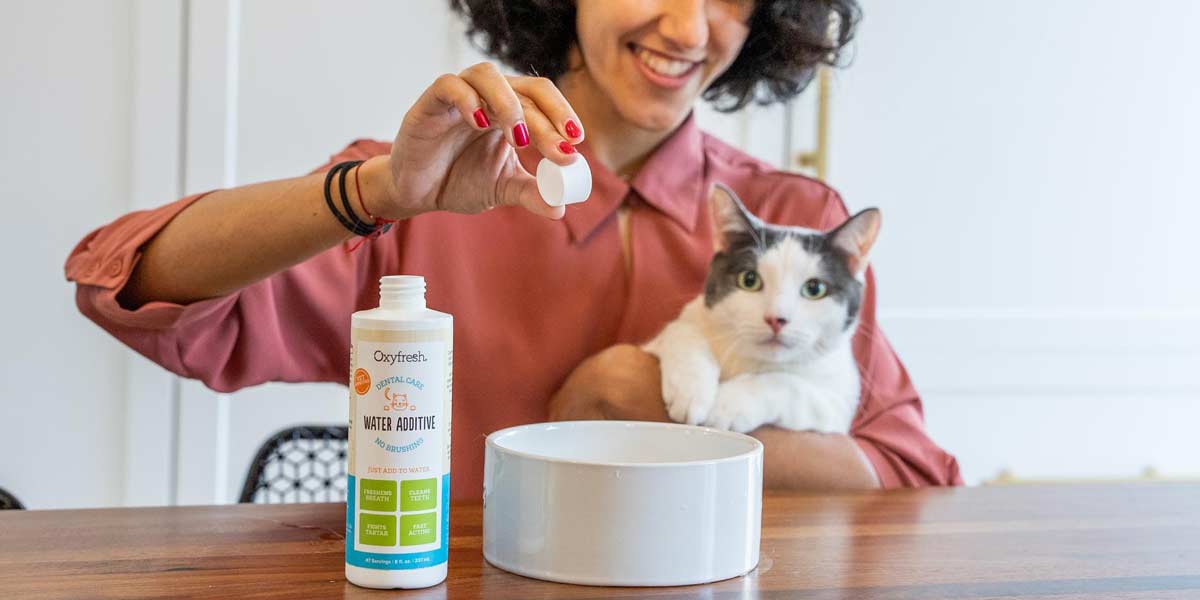 woman using pet water additive in her cats drinking bowl