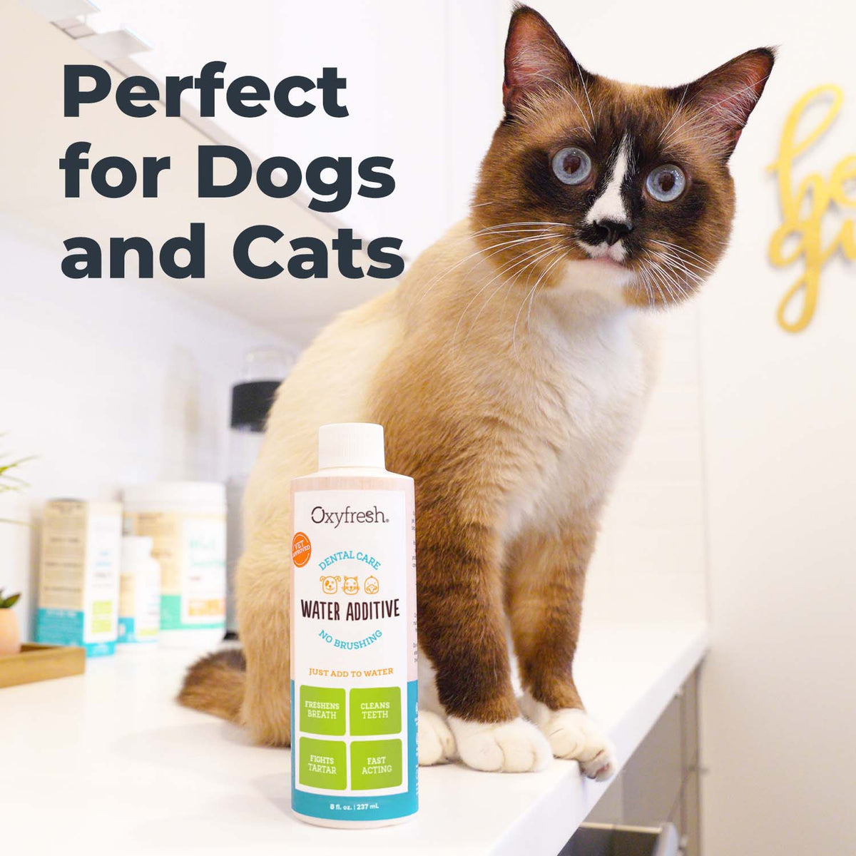 Premium Pet Dental Water Additive - Best Way to Fight Pet Bad Breath