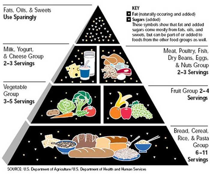 old food pyramid