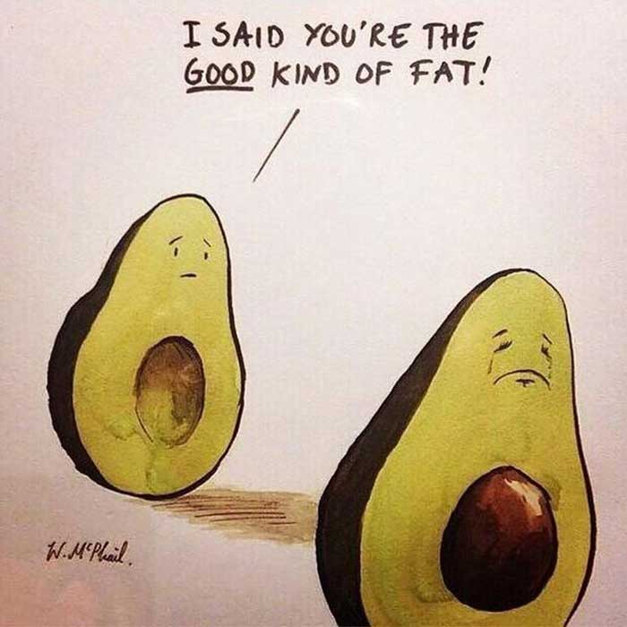 avocado good fats