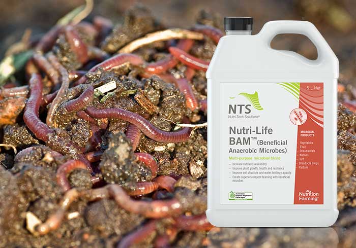 nutri-life bam and earthworms