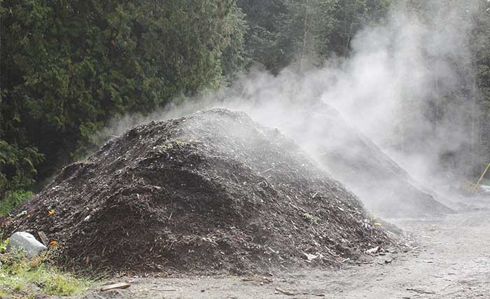 trichoderma in compost