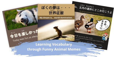 Learn Japanese through funny memes