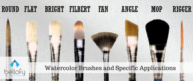 Watercolor Brushes and Specific Applications – Bellofy