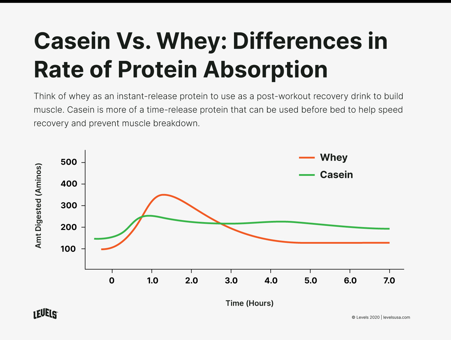 Casein vs Whey: Rate of Protein Absorption - Infographic