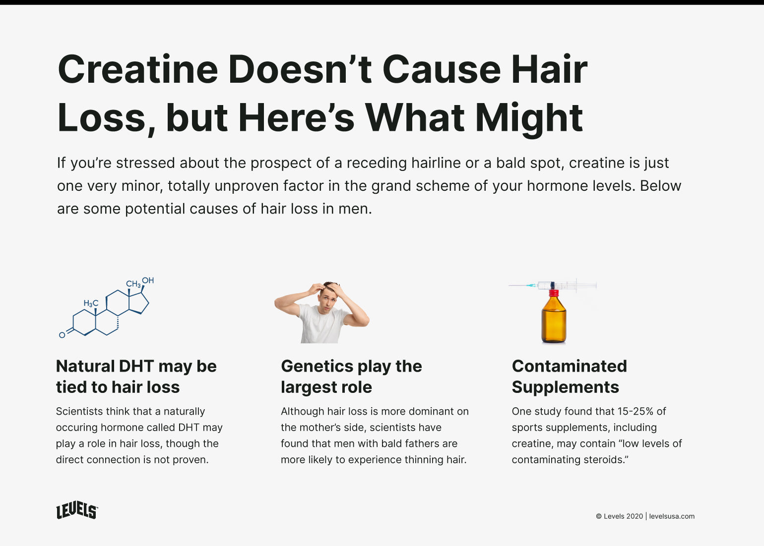 Creatine and Male Hair Loss - Infographic