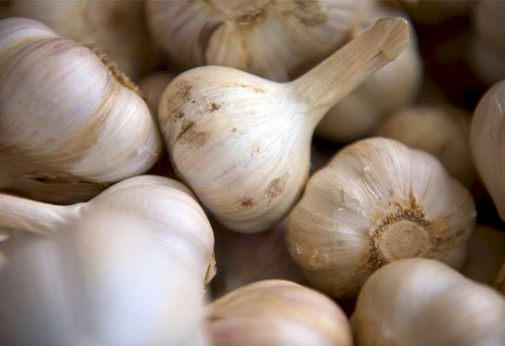 Garlic - Collagen-rich foods