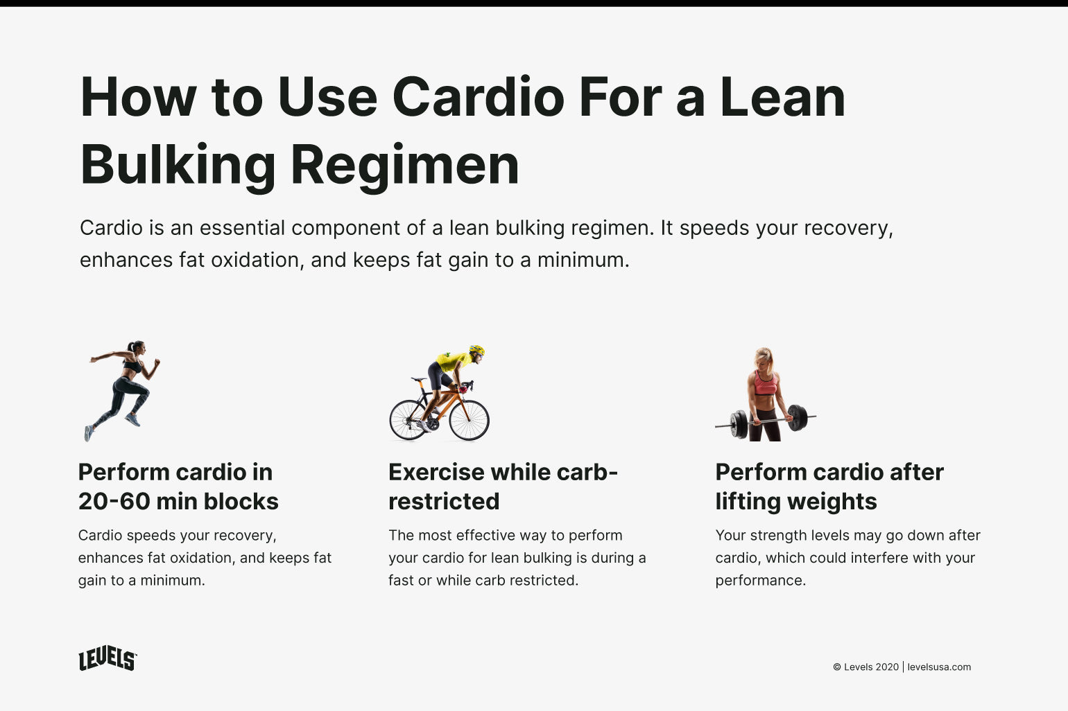 Cardio For Lean Bulking - Infographic