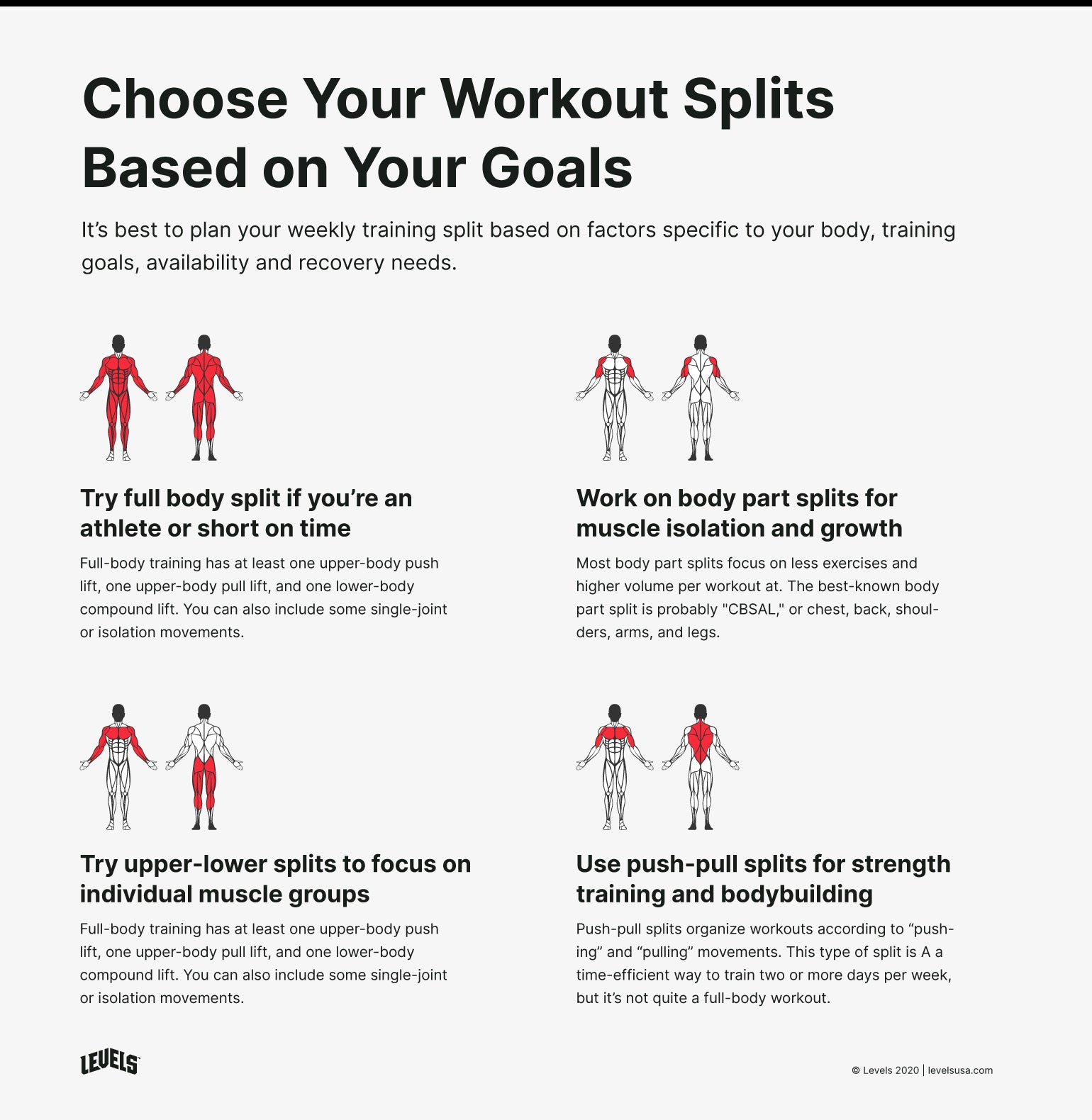Choosing Proper Workout Splits - Infographic