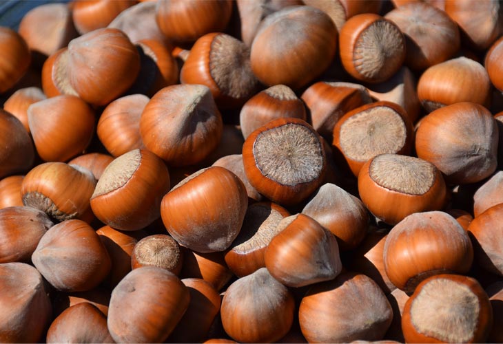 Hazelnuts - Keto Nuts