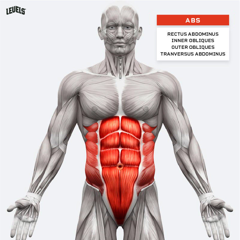 The Intense Ab Workout That Creates Curvaceous Core Muscles - GymGuider.com