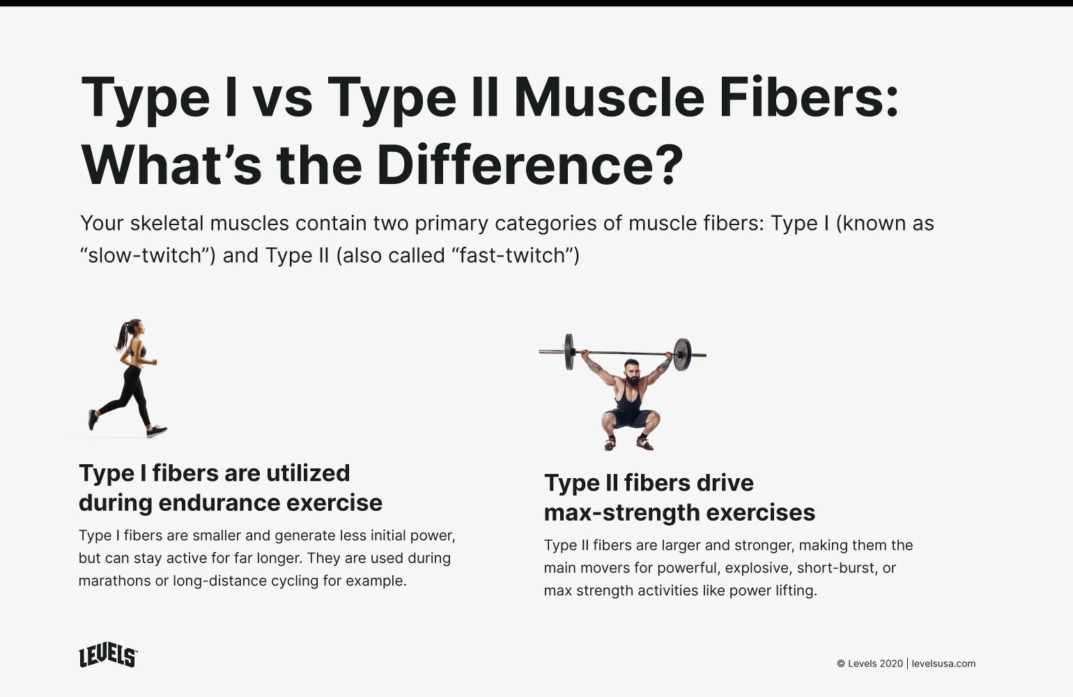 assignment 10 muscular strength and endurance