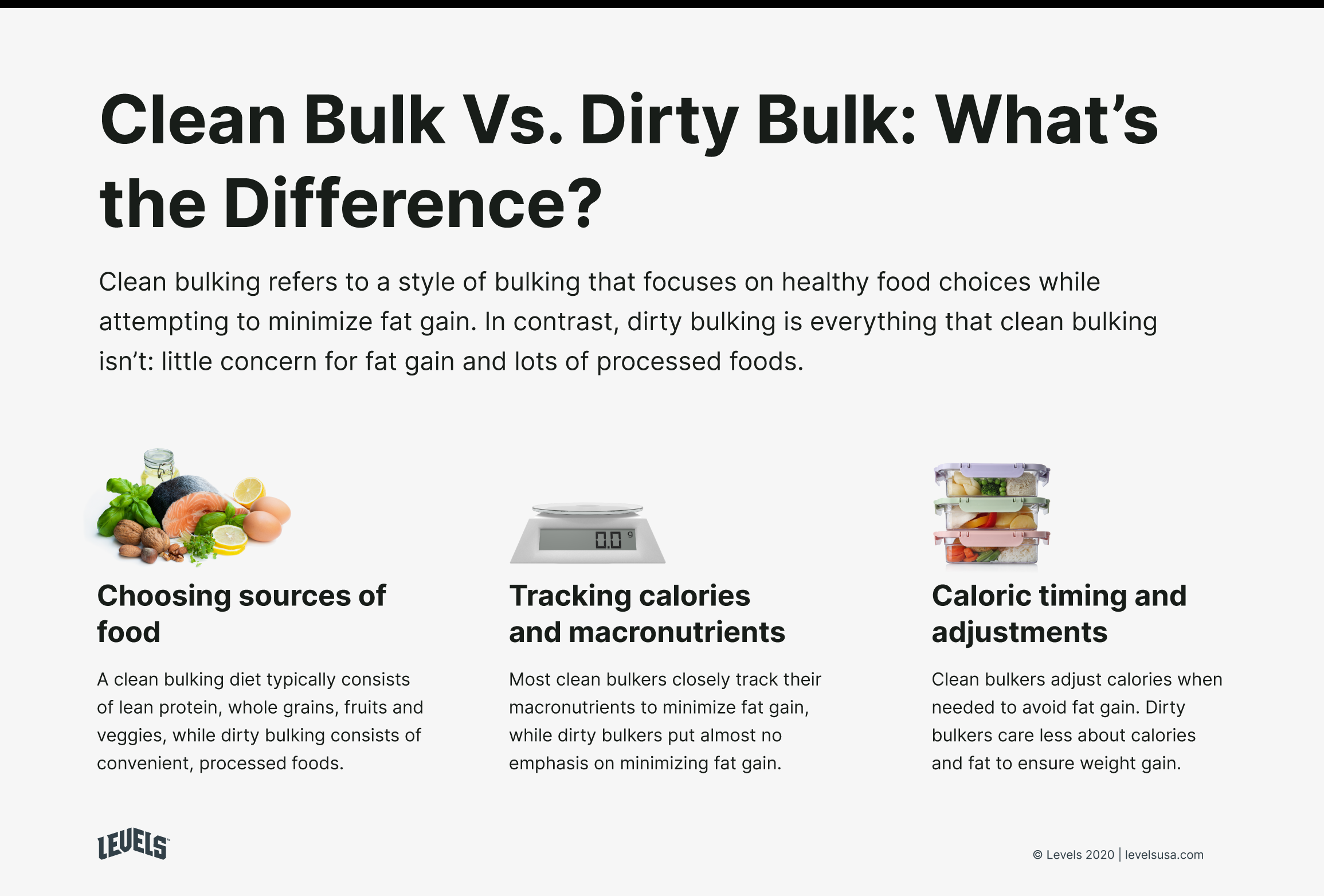 Clean Bulk Vs Dirty Bulk - Infographic