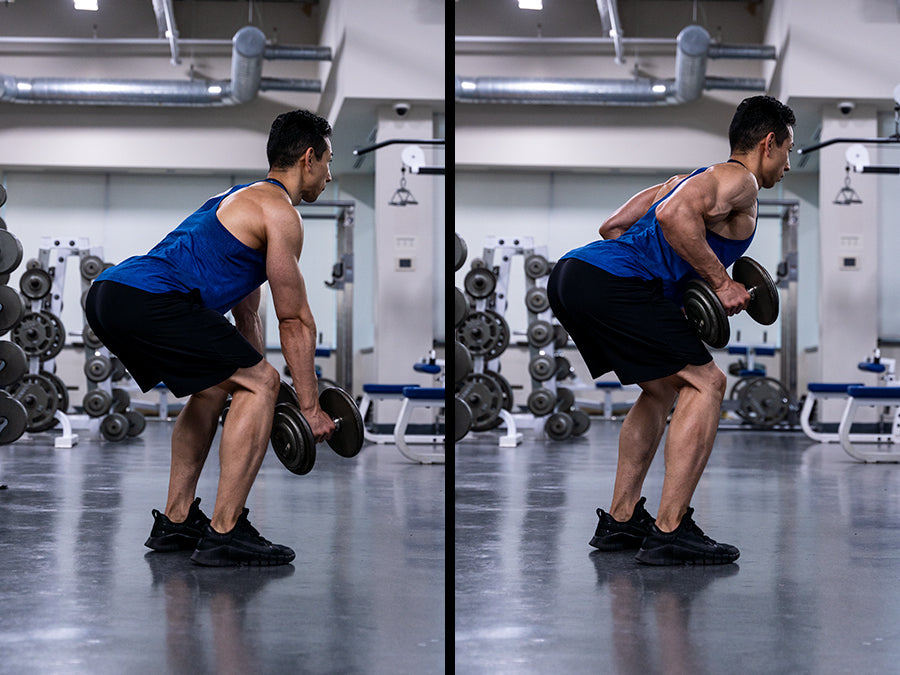 bent over dumbbell rows 