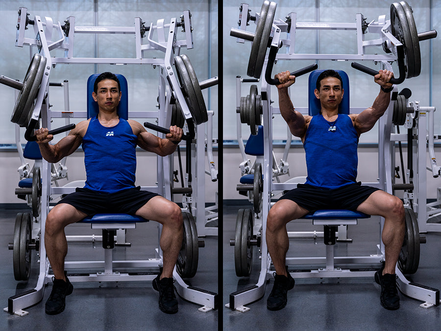 Seated Chest Press