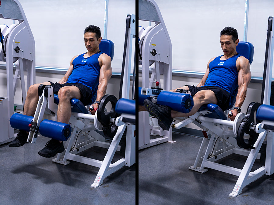 seated leg curls 