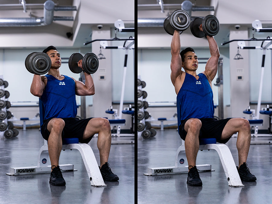 seated dumbbell press 