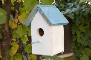 Decorative-Wooden-Bird-Houses